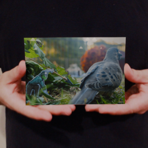Camo Hunting, Bird Feeding Photo 6"W x 4"H
