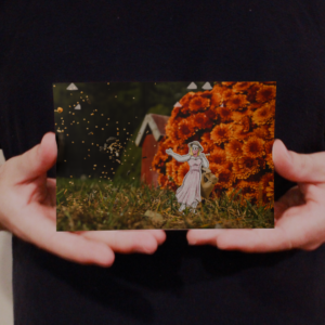 Peach Throwing Seeds, Bird Feeding Photo 6"W x 4"H