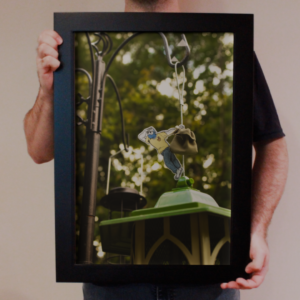 Paper Looking Out, Bird Feeding Poster 13"W x 19"H